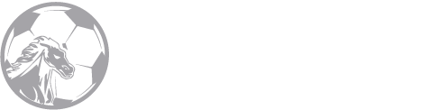 Yorba Linda High School Women's Soccer Logo